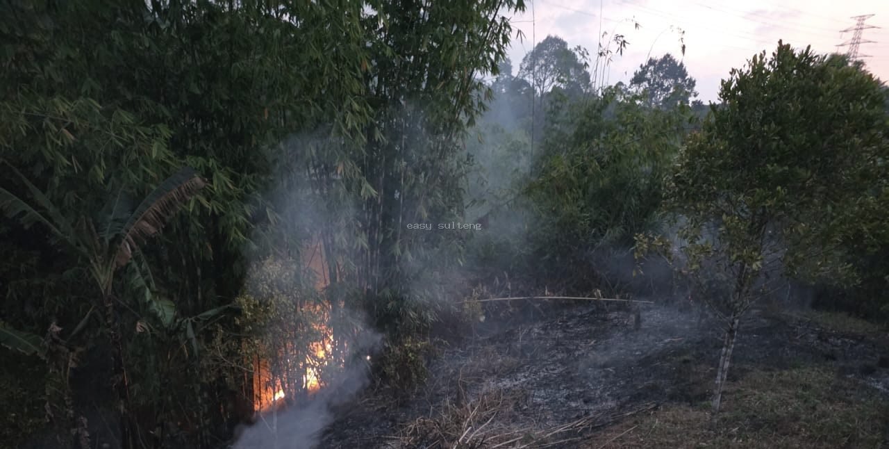 Kebakaran lahan dan perkebunan warga di Pegunungan Kalakia, Desa Kelei, Kecamatan Pamona Timur, Kabupaten Poso.