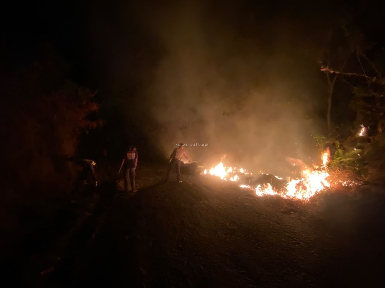 Kebakaran lahan semak belukar dan rumpun bambu di pinggir Danau Poso, Kelurahan Sangele, Kabupaten Poso.