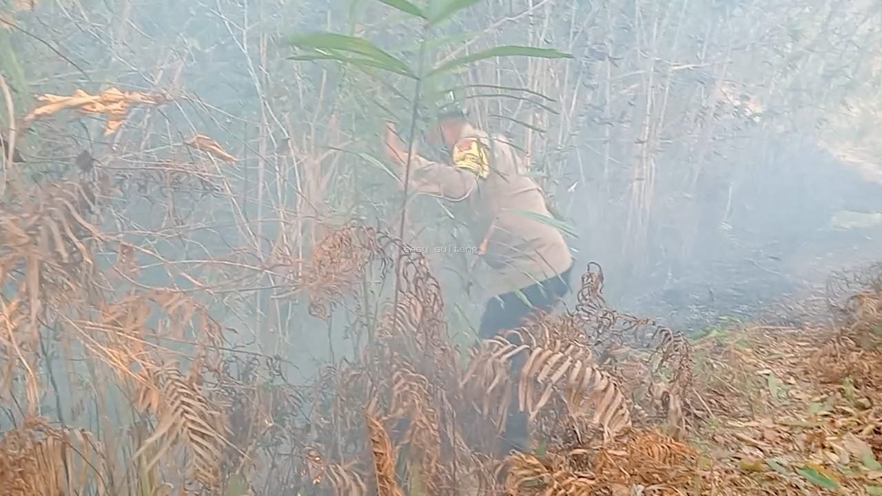 Kebakaran hutan dan lahan di kawasan hutan jati Desa Toini, Kecamatan Poso Pesisir, Kabupaten Poso.
