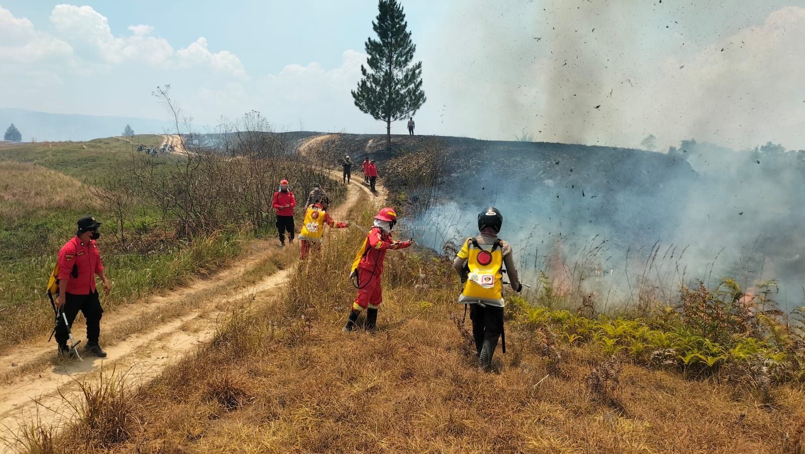 Pemadaman kebakaran hutan dan lahan di Desa Watutau, Kecamatan Lore Peore, Kabupaten Poso.