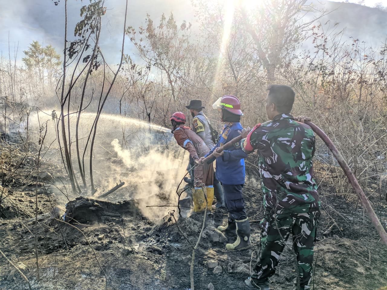 Kebakaran lahan kosong seluas sekitar dua hektare di Kelurahan Tipo, Kecamatan Ulujadi, Kota Palu.