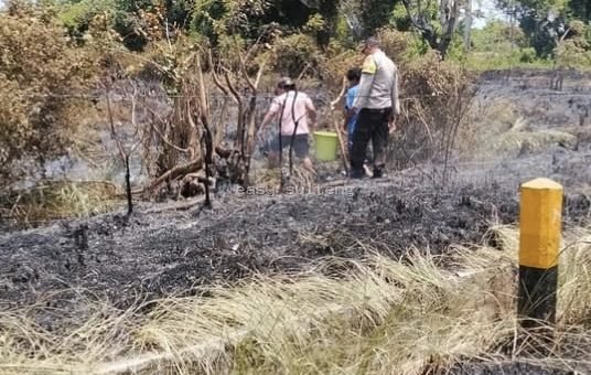 Penanganan kebakaran lahan di Desa Ogotion dan Desa Sausu Taliabo, Kabupaten Parigi Moutong.