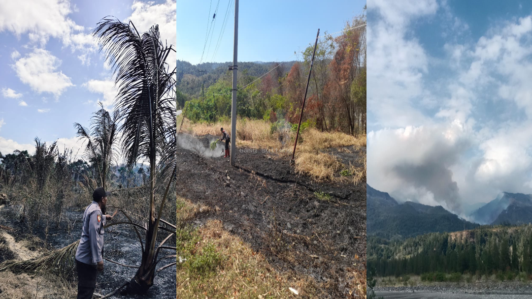 Kebakaran hutan dan lahan di Kabupaten Tojo Una-Una, Sulawesi Tengah.