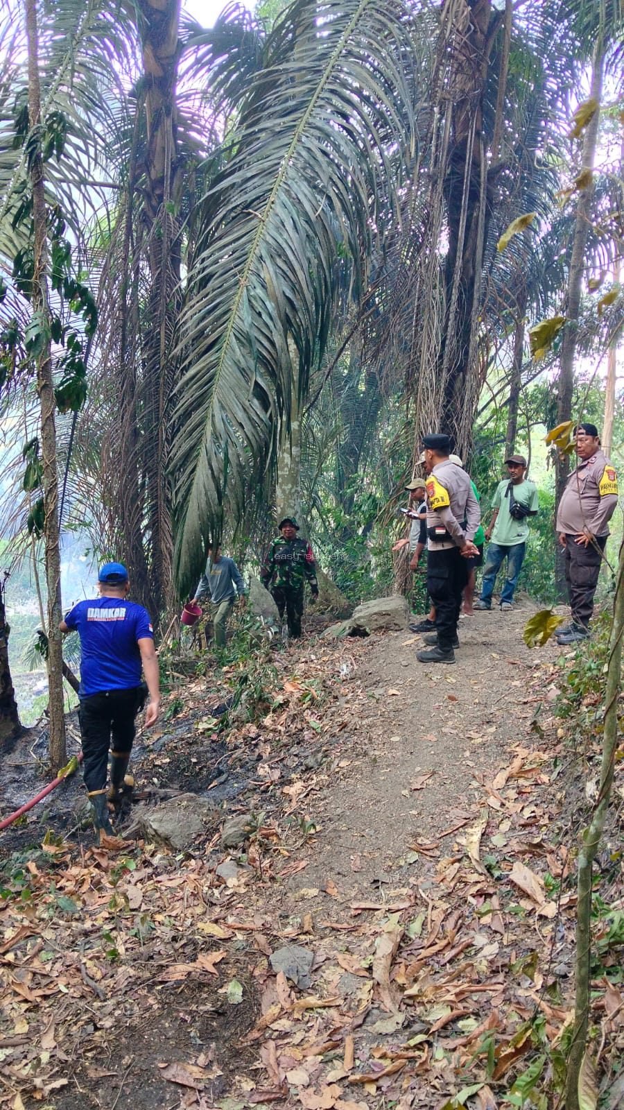 Kebakaran lahan dan hutan pinus di Kecamatan Dolo Barat, Kabupaten Sigi.