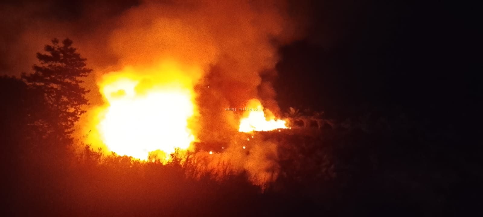 Kebakaran padang rumput di Kecamatan Mori Utara, Kabupaten Morowali Utara.