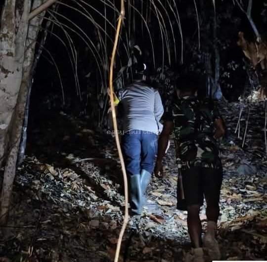 Kebakaran lahan perkebunan di Desa Baina'a Barat, Kecamatan Tinombo, Kabupaten Parigi Moutong.