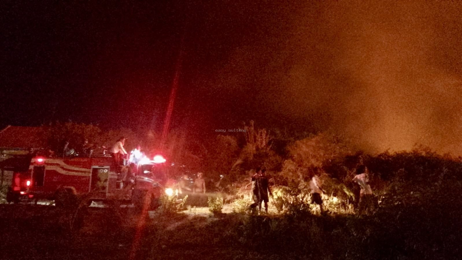 Kebakaran hutan dan lahan seluas sekitar 30 hektare di Desa Pasir Putih, Kecamatan Pamona Selatan, Kabupaten Poso, Sulawesi Tengah.