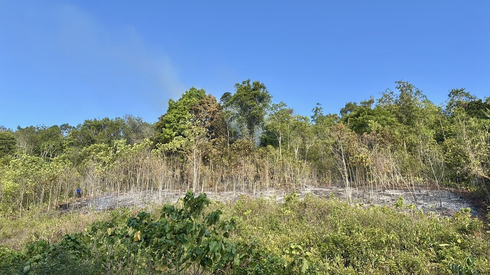 Kebakaran kebun dan hutan di Desa Baka, Kecamatan Tinangkung, Kabupaten Banggai Kepulauan, Sulawesi Tengah.