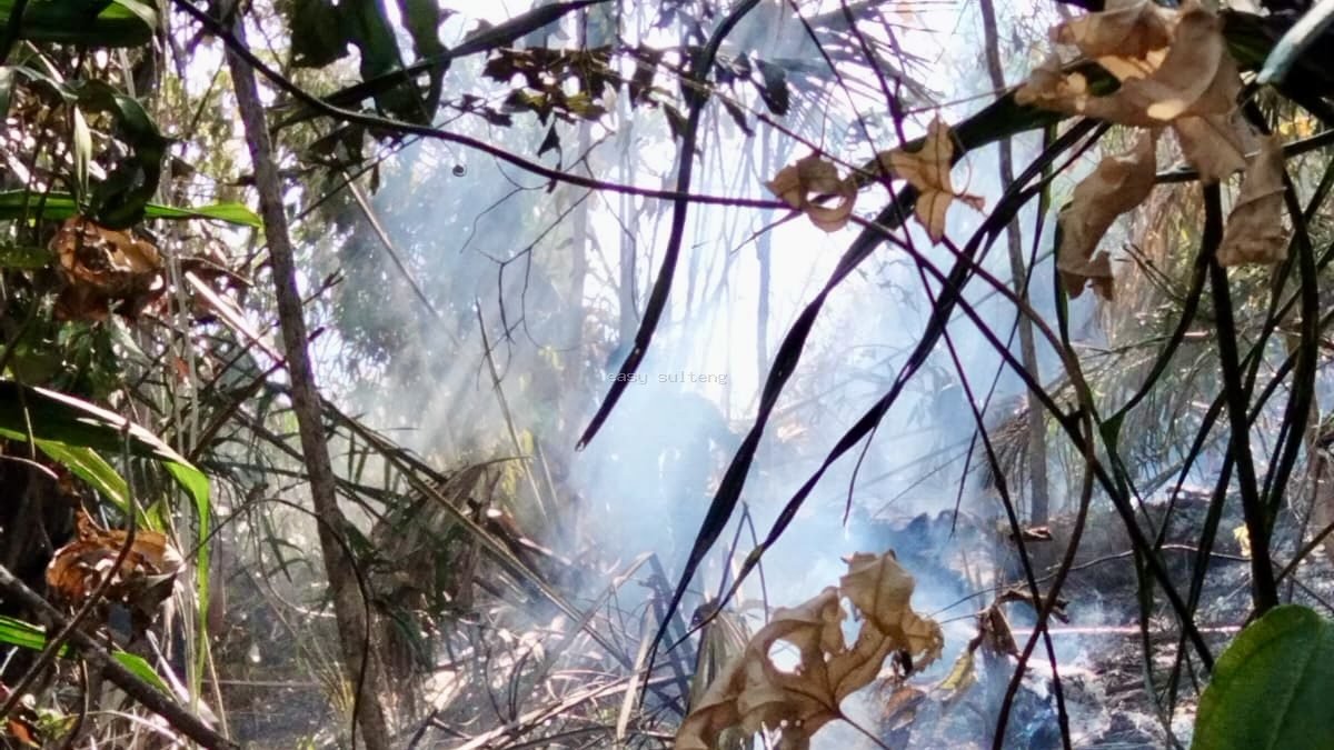 Karhutla di Desa Pandiri, Poso.
