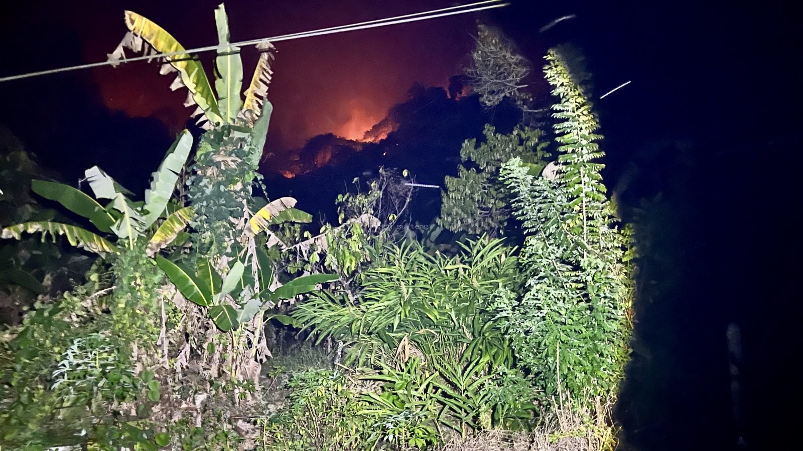 Karhutla di Desa Siboang, Donggala.