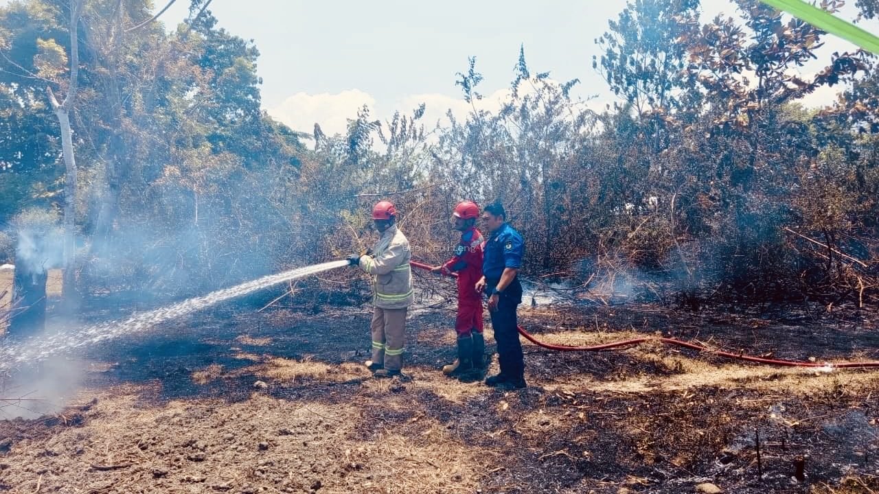 Kebakaran lahan di Kayumalue Pajeko, Palu Utara.