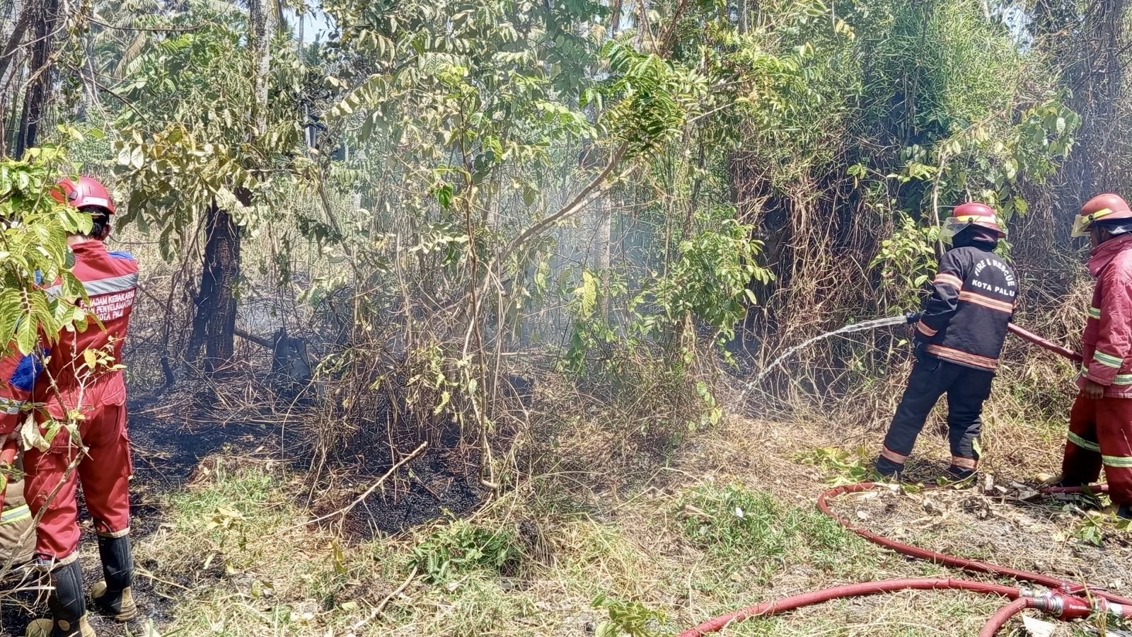 Kebakaran lahan di Kelurahan Baiya, Tawaeli.
