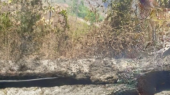 Kebakaran lahan di Desa Balingara, Tojo Una-Una.