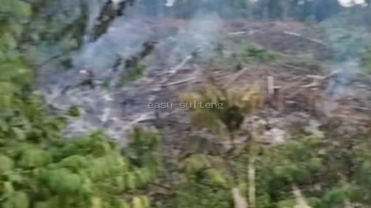 Kebakaran lahan di Bukit Makmur, Parigi Moutong.