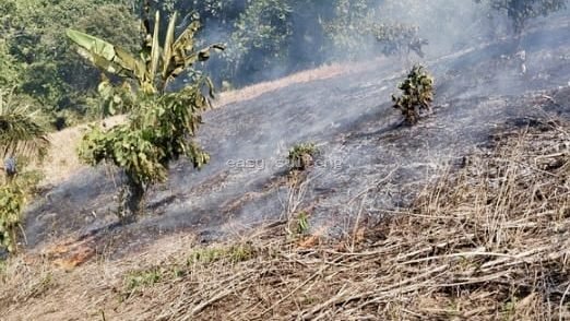 Pembakaran lahan di Gunung Serambu, Parigi Moutong.