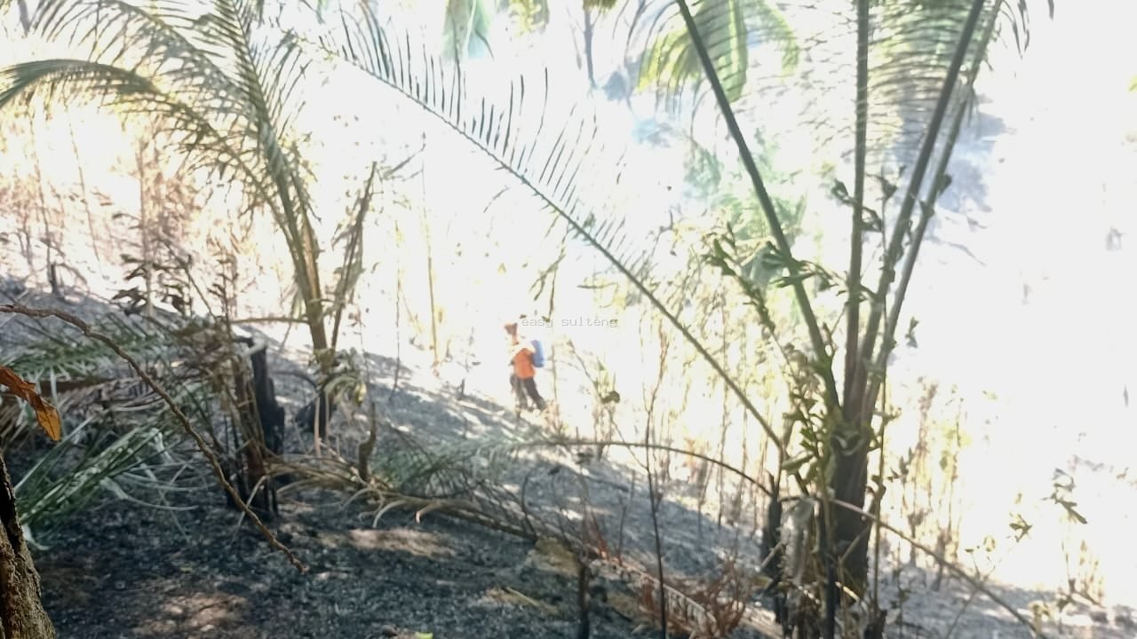 Karhutla di Desa Siweli, Donggala.