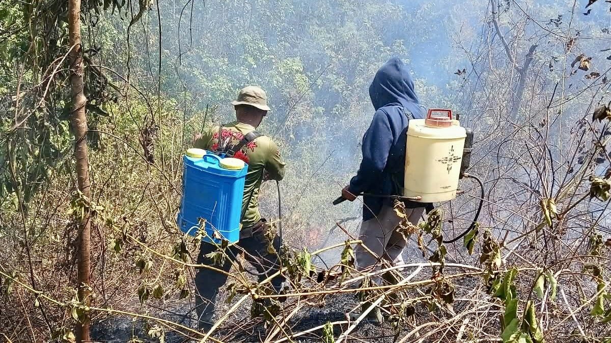 Kebakaran lahan perkebunan di Desa Tangkura, Poso.