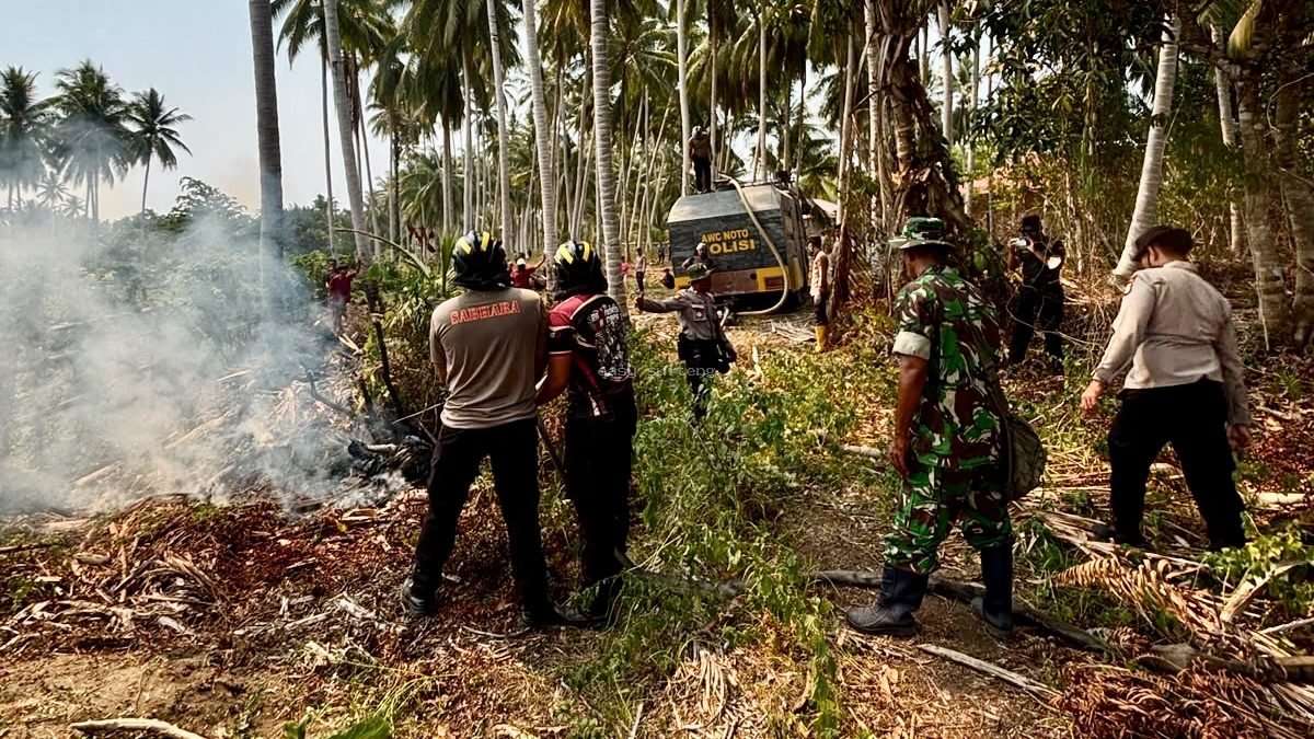 Kebakaran lahan di Desa Bokat, Kabupaten Buol.
