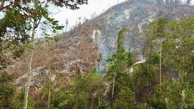 Kebakaran lahan di Desa Bukal, Buol.
