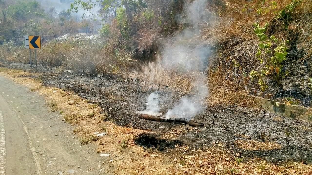 Kebakaran lahan di Desa Tampanombo, Tojo Una-Una.
