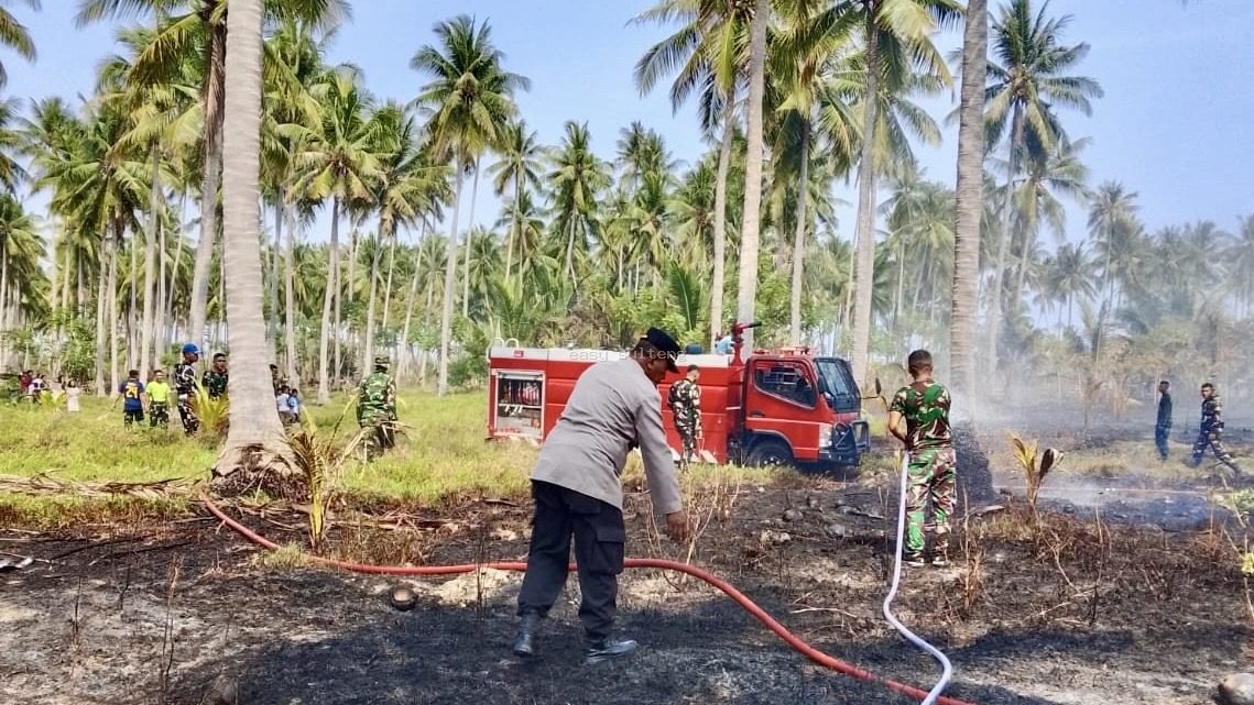 Kebakaran lahan di Desa Moutong Barat, Parigi Moutong.
