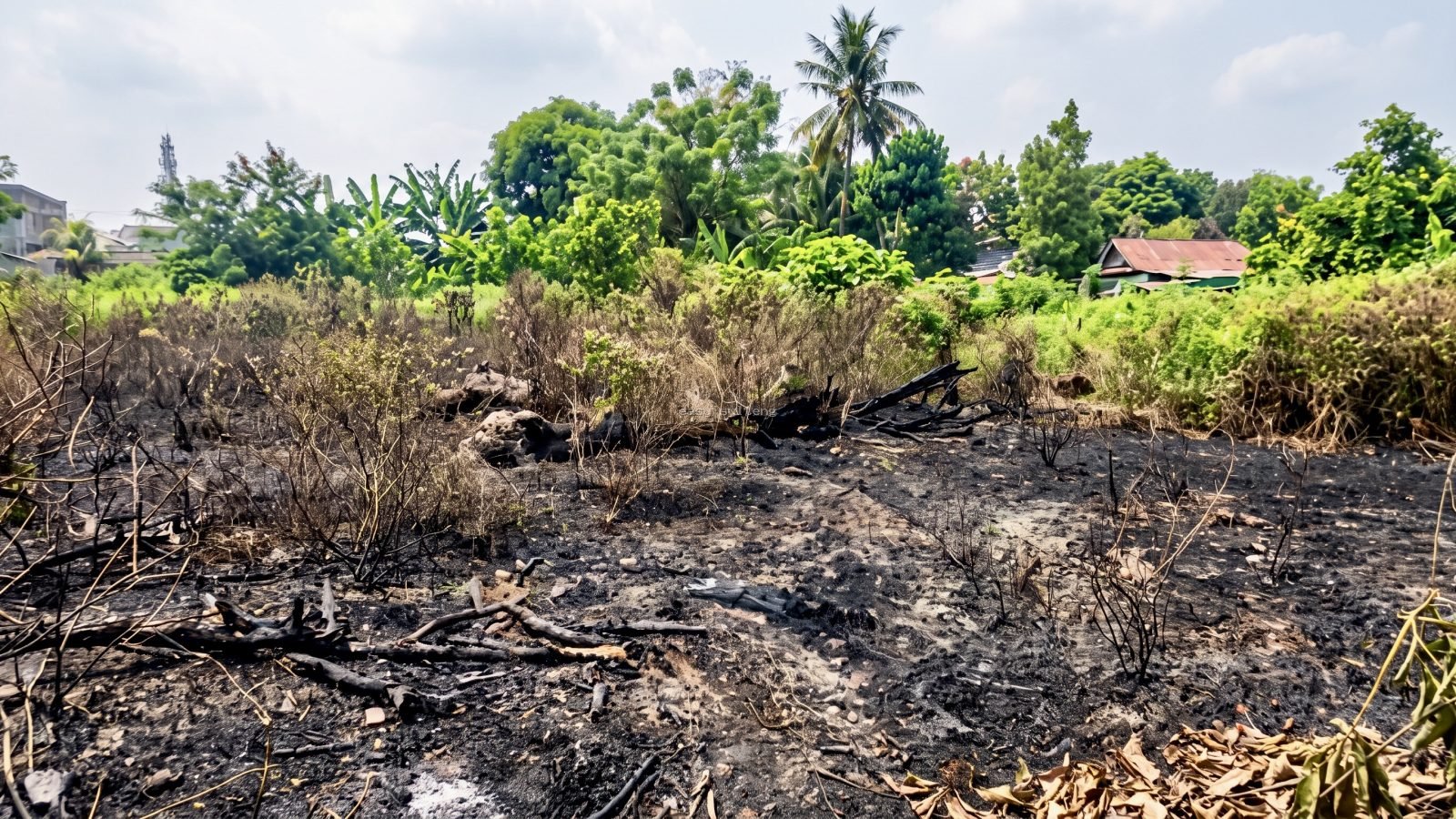 Lahan Kosong Samping MIS Alhaerat Balaroa Terbakar, Polisi Imbau Warga Waspada Buang Puntung Rokok