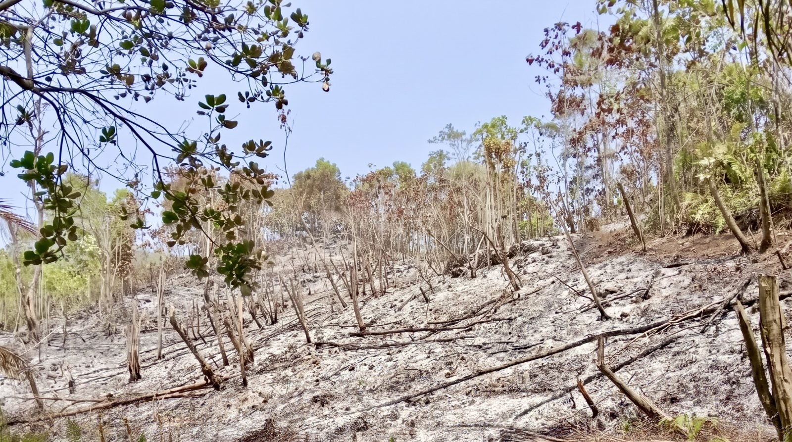 Pemadaman kebakaran lahan perkebunan oleh warga dan aparat gabungan di tengah minimnya sumber air di lokasi kejadian.