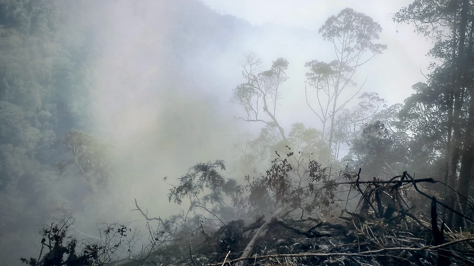 Tim gabungan bersama masyarakat Desa Berdikari saat melanjutkan upaya pemadaman bara api di kawasan hutan lindung Puncak Gunung Ranindi, Kecamatan Palolo, Kabupaten Sigi.